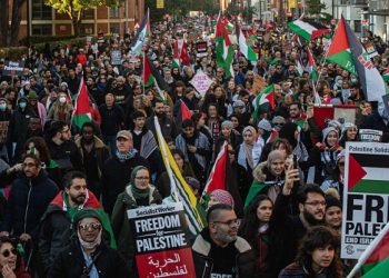 بن لادن في أميركا